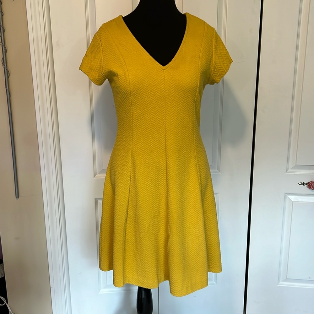 Banana Republic Mustard Yellow/Gold Textured Fit & Flare Cap Sleeve Skater Dress
